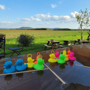 Eine schöne landschaft in der eine Holzwanne steht in der man bunter Enten angeln kann - perfekt zur Event-Vermietung