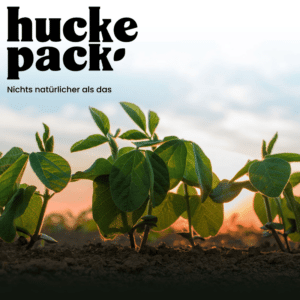 Logo von Huckepack Erlebnisernten über einem Feld bei Sonnenuntergang in Erlangen - Hüttendorf.